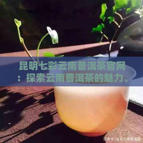 昆明七彩云南普洱茶官网：探索云南普洱茶的魅力、品种和品质 - 官方网站