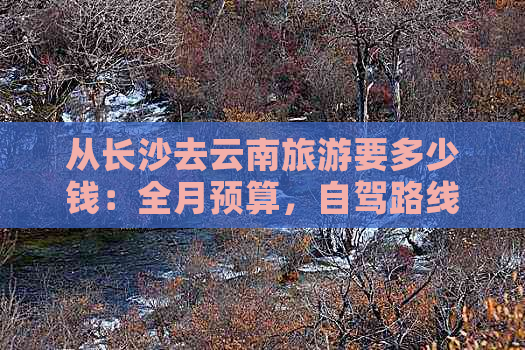 从长沙去云南旅游要多少钱：全月预算，自驾路线与费用分析