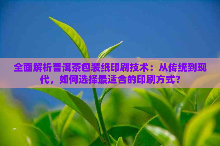 全面解析普洱茶包装纸印刷技术：从传统到现代，如何选择最适合的印刷方式？