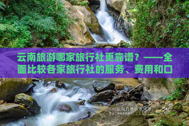 云南旅游哪家旅行社更靠谱？——全面比较各家旅行社的服务、费用和口碑