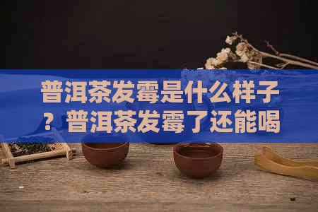 普洱茶发霉是什么样子？普洱茶发霉了还能喝吗？发霉的普洱茶怎么处理？