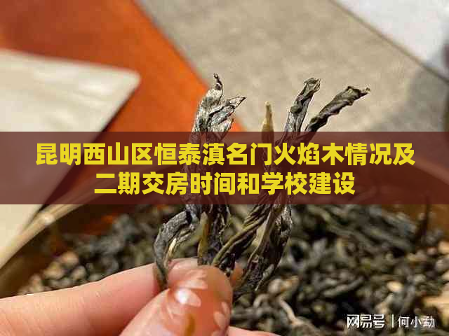 昆明西山区恒泰滇名门火焰木情况及二期交房时间和学校建设