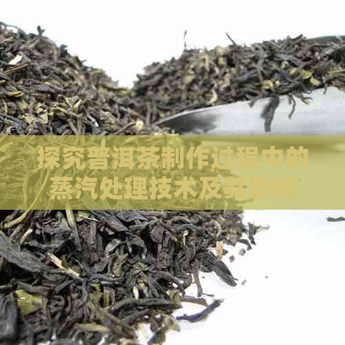 探究普洱茶制作过程中的蒸汽处理技术及其影响