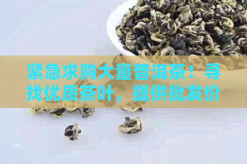 紧急求购大量普洱茶！寻找优质茶叶，提供批发价格和定制服务，请与我们联系