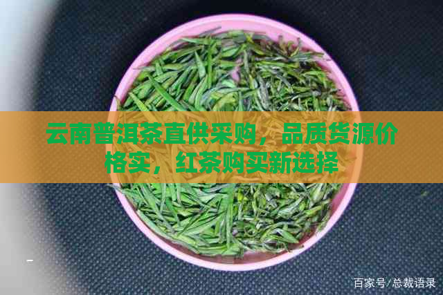 云南普洱茶直供采购，品质货源价格实，红茶购买新选择