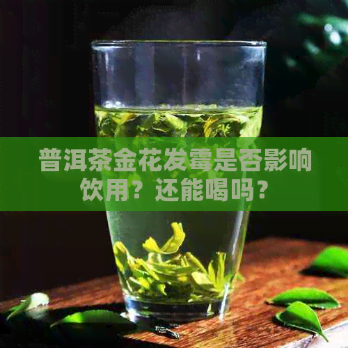 普洱茶金花发霉是否影响饮用？还能喝吗？