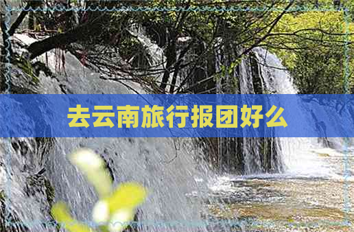 去云南旅行报团好么