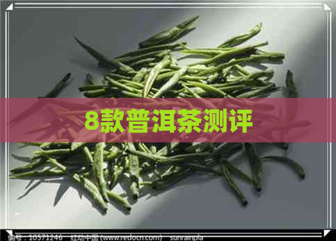 8款普洱茶测评