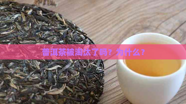 普洱茶被淘汰了吗？为什么？