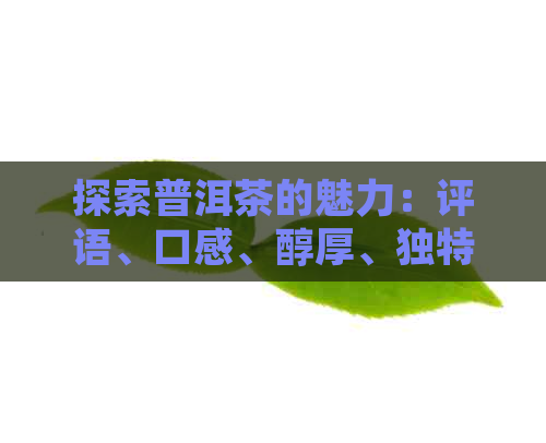 探索普洱茶的魅力：评语、口感、醇厚、独特，以及如何让普洱茶更美味