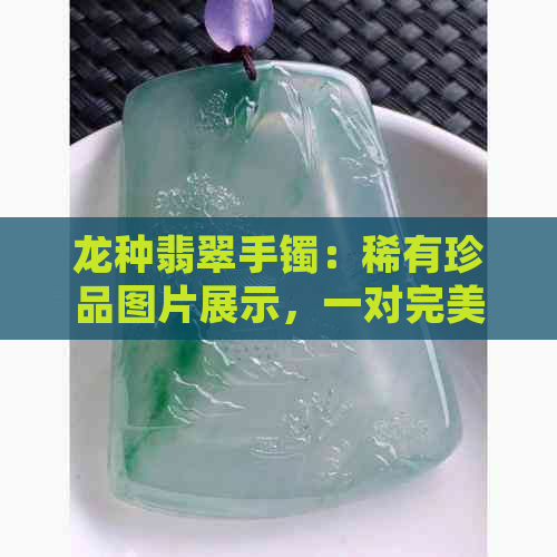 龙种翡翠手镯：稀有珍品图片展示，一对完美搭配的奢华饰品