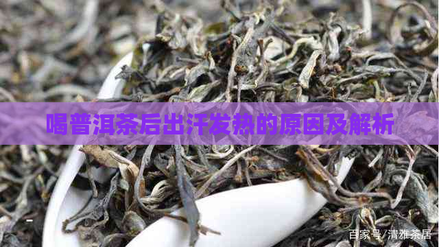 喝普洱茶后出汗发热的原因及解析