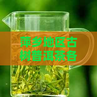 萍乡地区古树普洱茶各款式价格一览表：全面了解普洱茶市场行情与品质选择