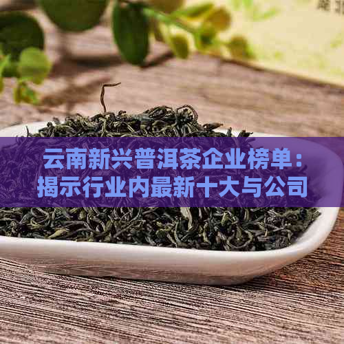 云南新兴普洱茶企业榜单：揭示行业内最新十大与公司