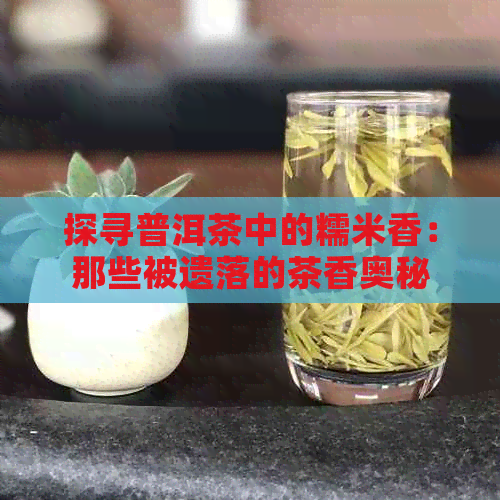 探寻普洱茶中的糯米香：那些被遗落的茶香奥秘