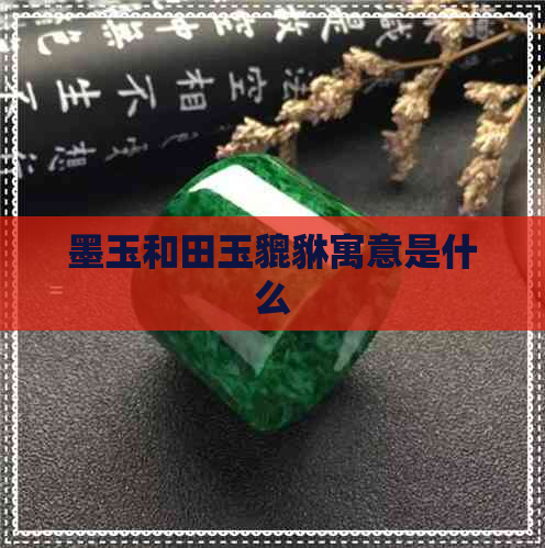 墨玉和田玉貔貅寓意是什么