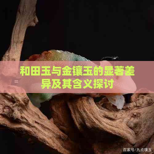 和田玉与金镶玉的显著差异及其含义探讨