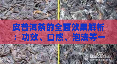 皮普洱茶的全面效果解析：功效、口感、泡法等一网打尽！