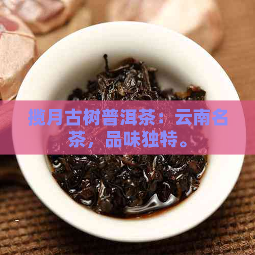 揽月古树普洱茶：云南名茶，品味独特。