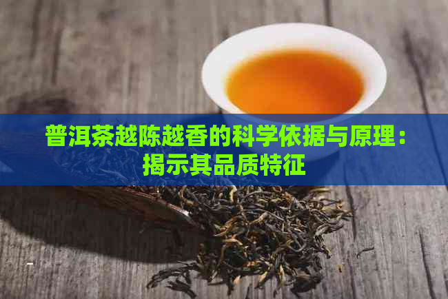 普洱茶越陈越香的科学依据与原理：揭示其品质特征