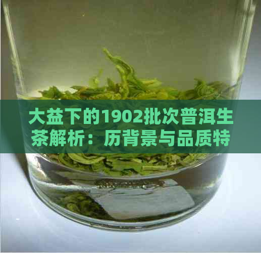 大益下的1902批次普洱生茶解析：历背景与品质特点