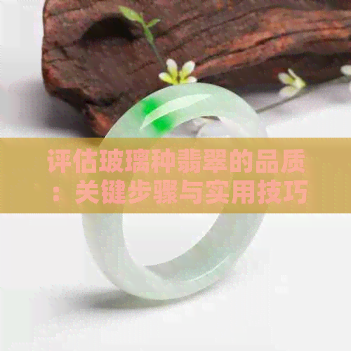 评估玻璃种翡翠的品质：关键步骤与实用技巧