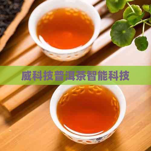 威科技普洱茶智能科技