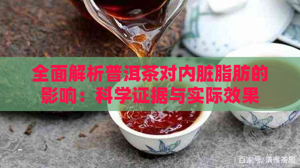 全面解析普洱茶对内脏脂肪的影响：科学证据与实际效果