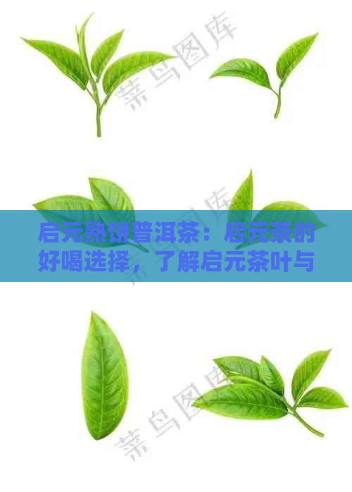 启元熟饼普洱茶：启元茶的好喝选择，了解启元茶叶与评价