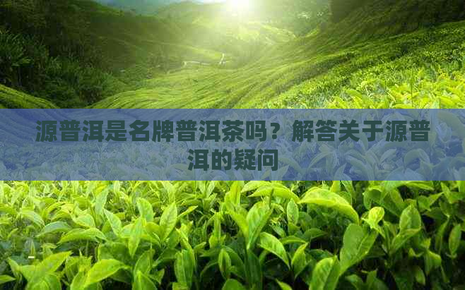 源普洱是名牌普洱茶吗？解答关于源普洱的疑问