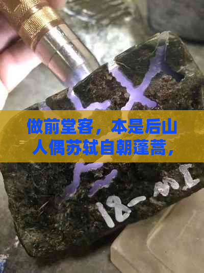 做前堂客，本是后山人偶苏轼自朝蓬蒿，我也是