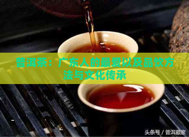 普洱茶：广东人的更爱以及品饮方法与文化传承