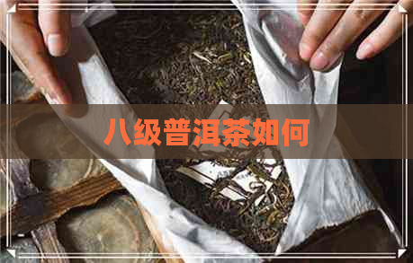 八级普洱茶如何