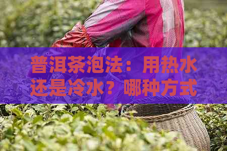 普洱茶泡法：用热水还是冷水？哪种方式更适合品尝普洱茶？