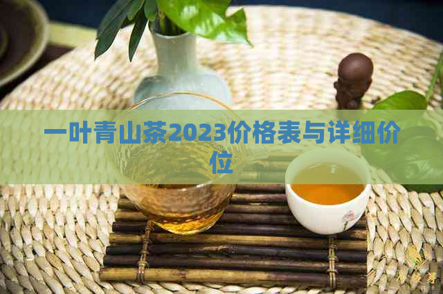 一叶青山茶2023价格表与详细价位