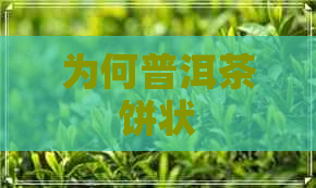 为何普洱茶饼状