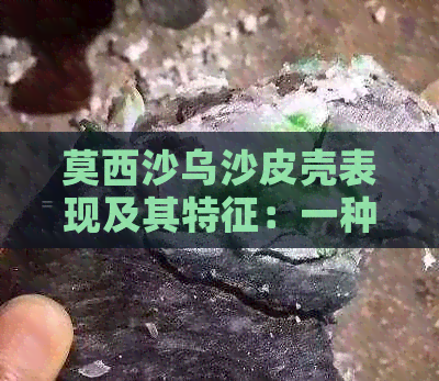 莫西沙乌沙皮壳表现及其特征：一种黑色乌沙皮壳的研究发现