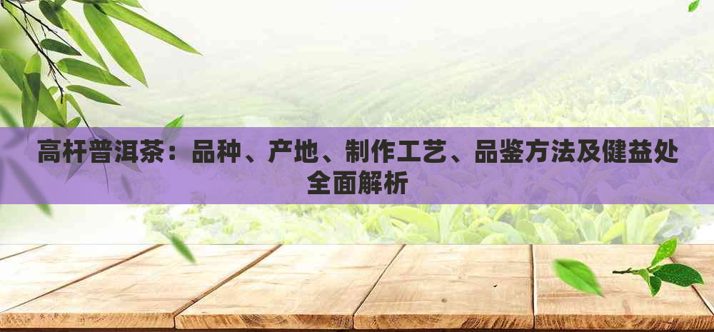 高杆普洱茶：品种、产地、制作工艺、品鉴方法及健益处全面解析