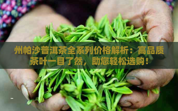 州帕沙普洱茶全系列价格解析：高品质茶叶一目了然，助您轻松选购！