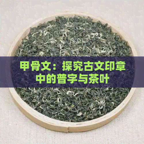 甲骨文：探究古文印章中的普字与茶叶