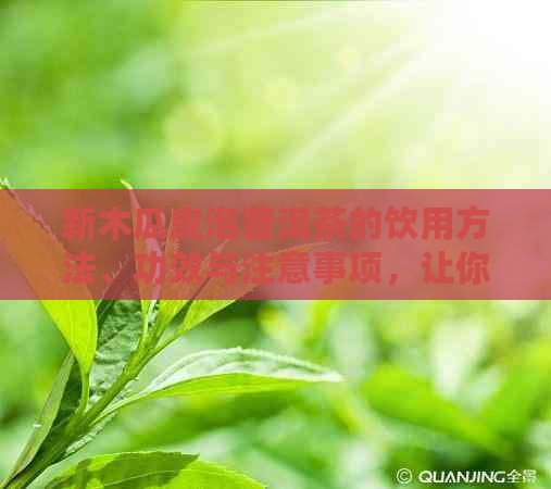 新木瓜皮泡普洱茶的饮用方法、功效与注意事项，让你喝得安心又健