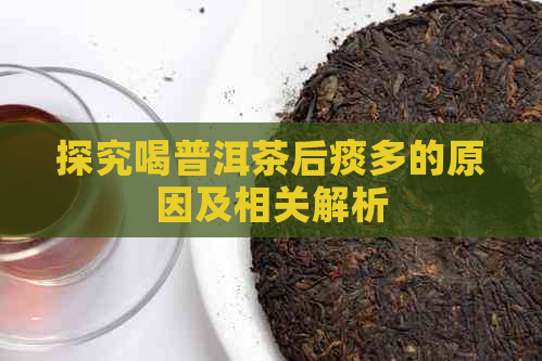 探究喝普洱茶后痰多的原因及相关解析