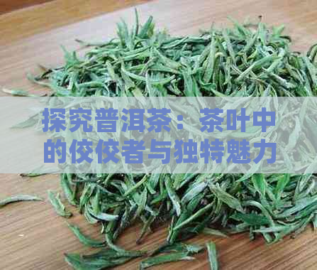 探究普洱茶：茶叶中的佼佼者与独特魅力