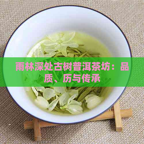 雨林深处古树普洱茶坊：品质、历与传承