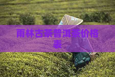 雨林古茶普洱茶价格表