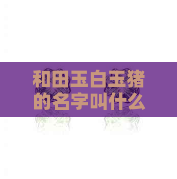 和田玉白玉猪的名字叫什么