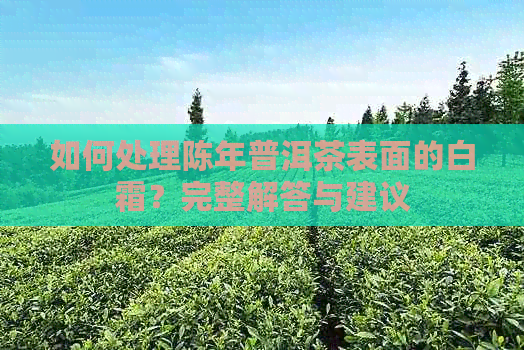 如何处理陈年普洱茶表面的白霜？完整解答与建议