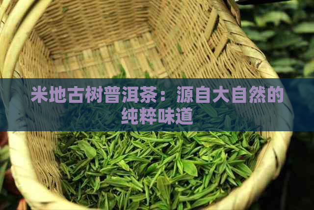 米地古树普洱茶：源自大自然的纯粹味道