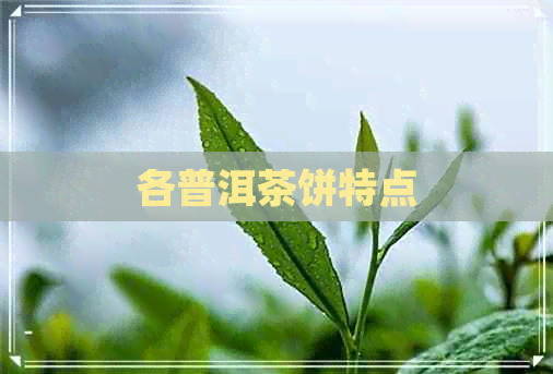 各普洱茶饼特点