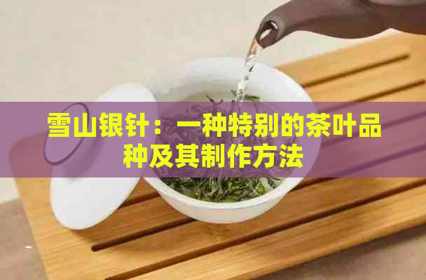 雪山银针：一种特别的茶叶品种及其制作方法